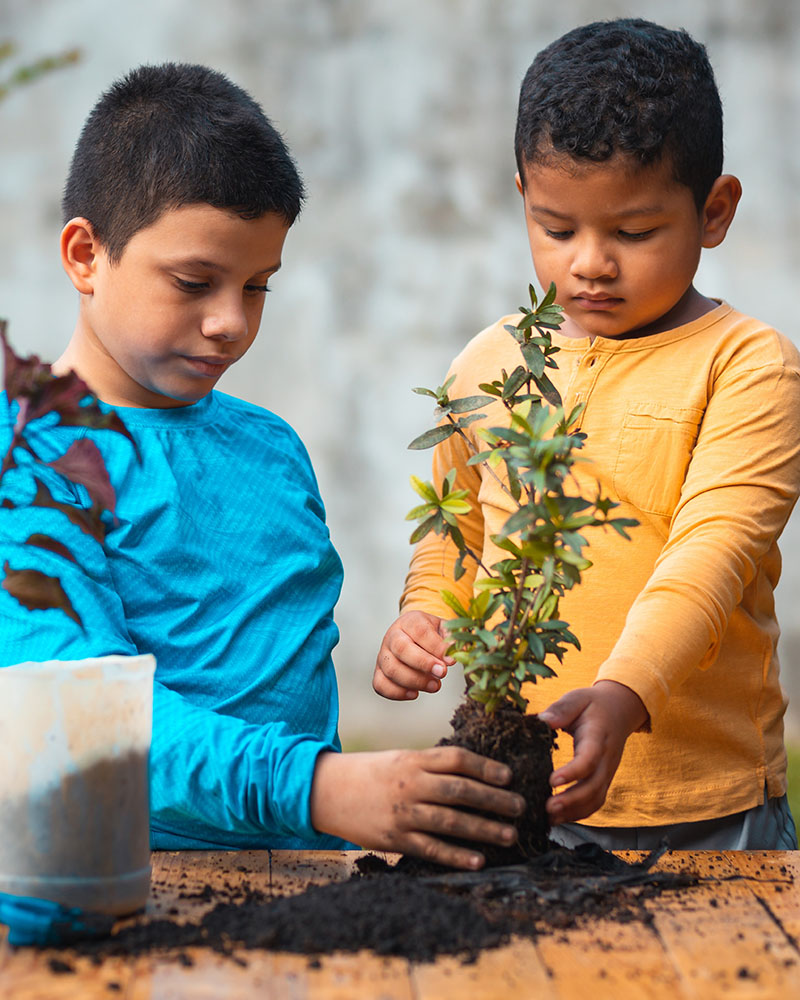boys with plant